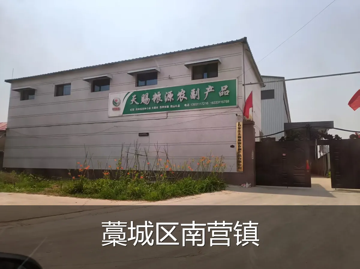 藁城区南营镇