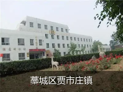 藁城区贾市庄镇