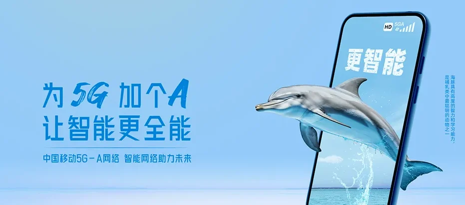藁城区藁城区梅花镇 移动宽带